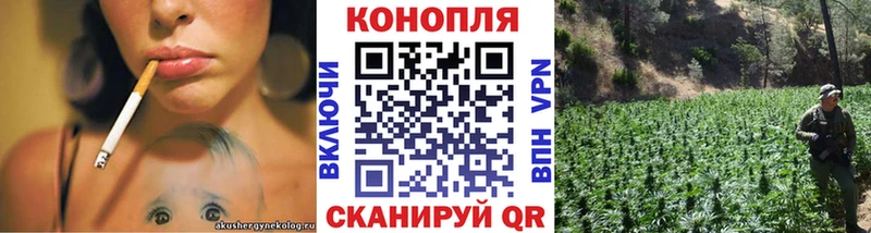 Что такое Лениногорск Каннабис  Метамфетамин  АМФ  Меф  ГАШ  Alpha PVP  Псилоцибиновые грибы 